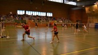 Ce dimanche Amandine s’est déplacée à Arras pour un tournoi double, associé à Richard en mixte D et à Irène Delahousse (Arras) en double dame C. Encore un tournoi assez...
