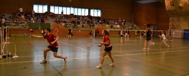 Ce dimanche Amandine s’est déplacée à Arras pour un tournoi double, associé à Richard en mixte D et à Irène Delahousse (Arras) en double dame C. Encore un tournoi assez...